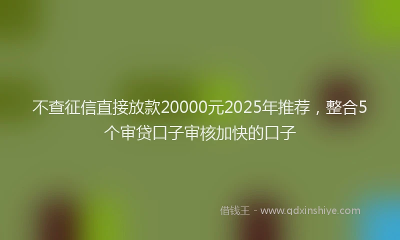 不查征信直接放款20000元2025年推荐，整合5个审贷口子审核加快的口子