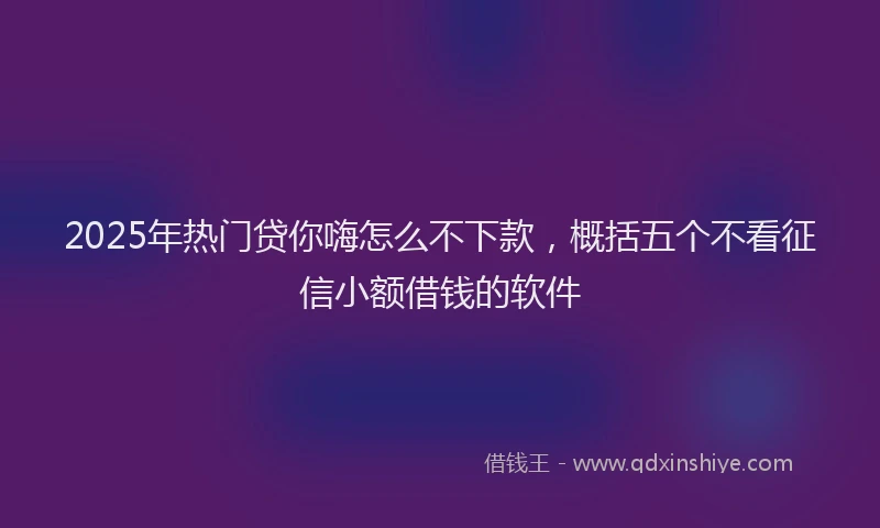 2025年热门贷你嗨怎么不下款，概括五个不看征信小额借钱的软件