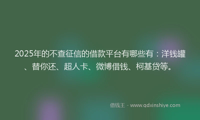 2025年的不查征信的借款平台有哪些有：洋钱罐、替你还、超人卡、微博借钱、柯基贷等。