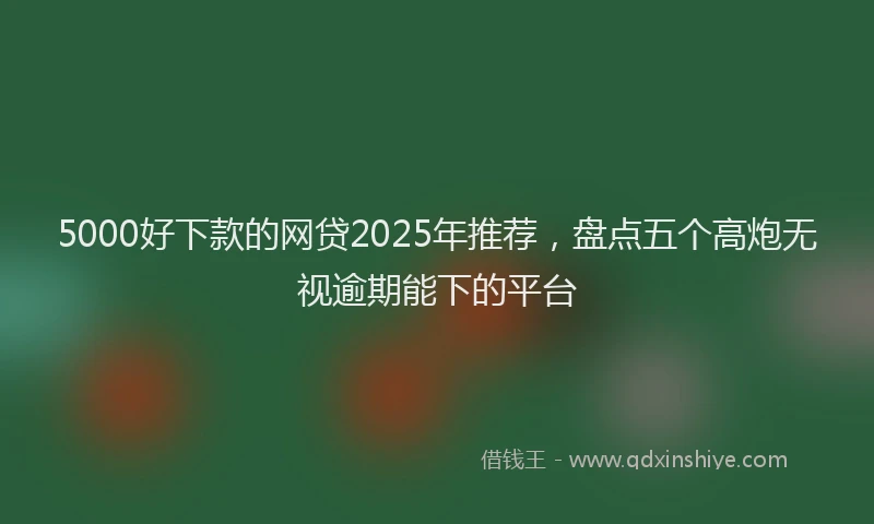 5000好下款的网贷2025年推荐，盘点五个高炮无视逾期能下的平台