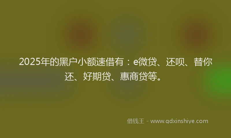 2025年的黑户小额速借有：e微贷、还呗、替你还、好期贷、惠商贷等。