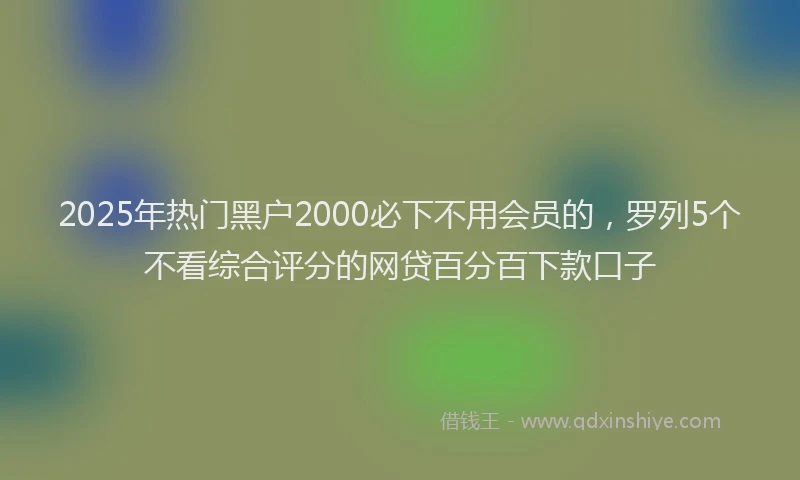2025年热门黑户2000必下不用会员的，罗列5个不看综合评分的网贷百分百下款口子