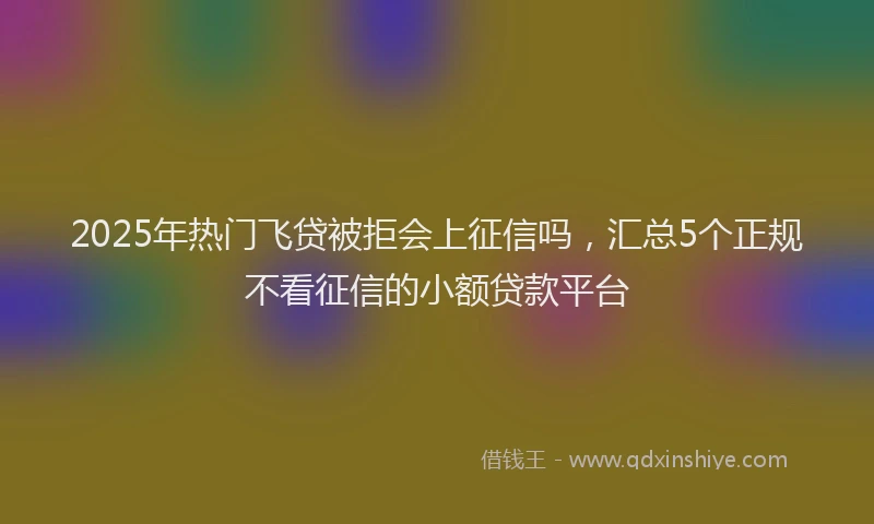 2025年热门飞贷被拒会上征信吗，汇总5个正规不看征信的小额贷款平台