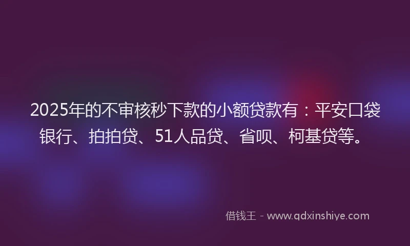 2025年的不审核秒下款的小额贷款有：平安口袋银行、拍拍贷、51人品贷、省呗、柯基贷等。