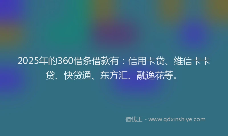 2025年的360借条借款有：信用卡贷、维信卡卡贷、快贷通、东方汇、融逸花等。