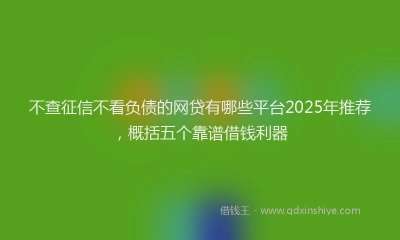 不查征信不看负债的网贷有哪些平台2025年推荐，概括五个靠谱借钱利器