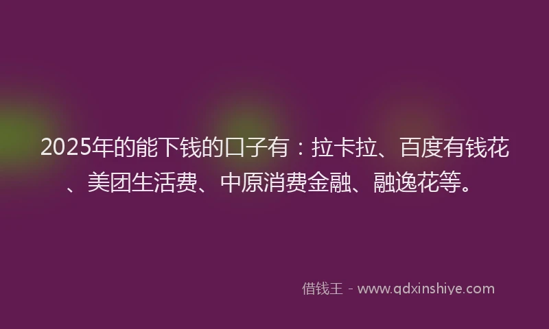 2025年的能下钱的口子有：拉卡拉、百度有钱花、美团生活费、中原消费金融、融逸花等。