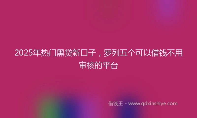 2025年热门黑贷新口子，罗列五个可以借钱不用审核的平台