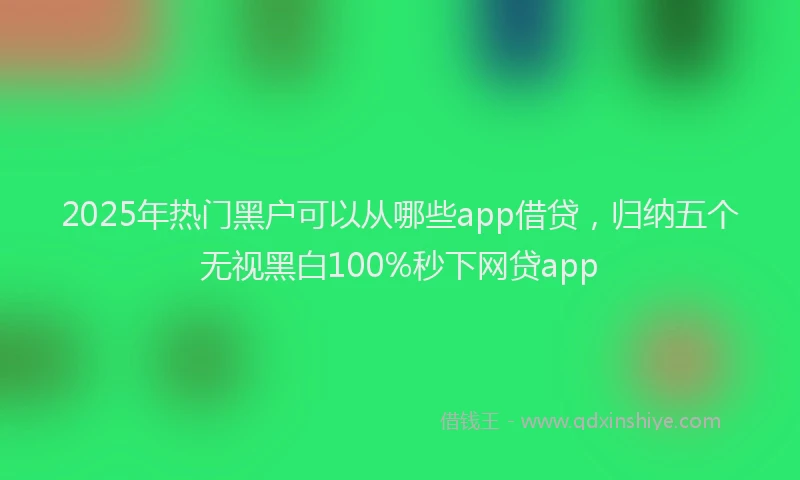 2025年热门黑户可以从哪些app借贷，归纳五个无视黑白100%秒下网贷app