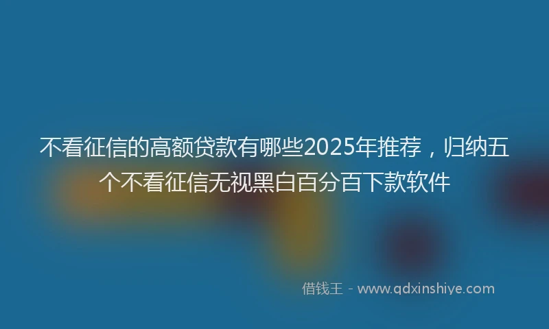 不看征信的高额贷款有哪些2025年推荐，归纳五个不看征信无视黑白百分百下款软件
