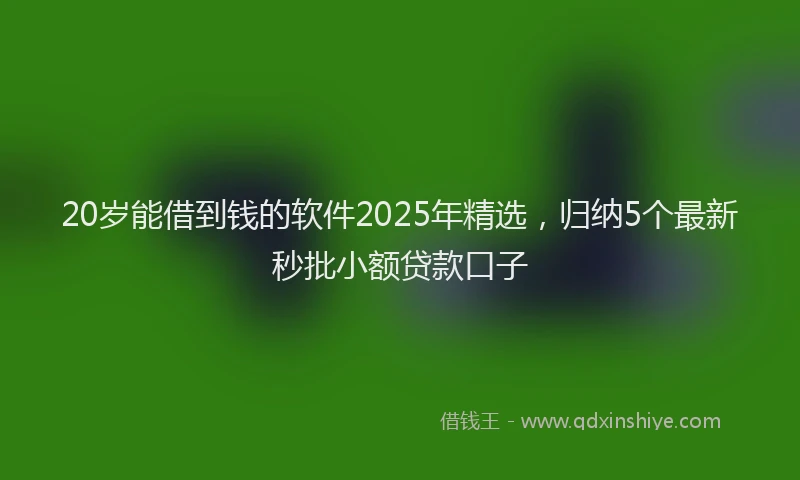 20岁能借到钱的软件2025年精选，归纳5个最新秒批小额贷款口子