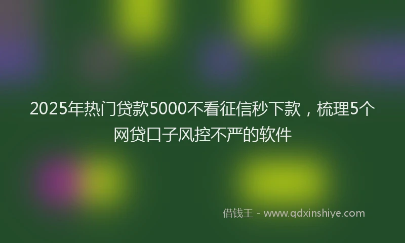 2025年热门贷款5000不看征信秒下款，梳理5个网贷口子风控不严的软件