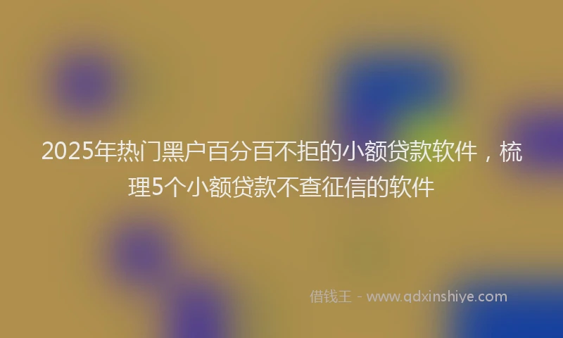 2025年热门黑户百分百不拒的小额贷款软件，梳理5个小额贷款不查征信的软件