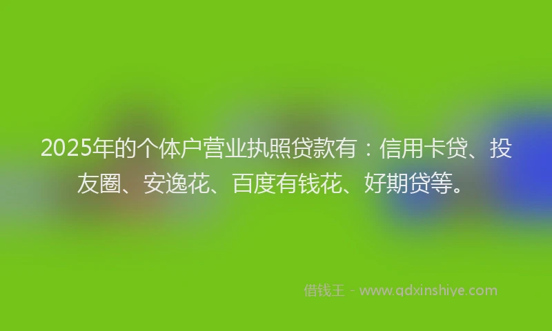 2025年的个体户营业执照贷款有：信用卡贷、投友圈、安逸花、百度有钱花、好期贷等。