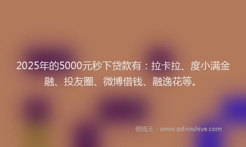 2025年的5000元秒下贷款有：拉卡拉、度小满金融、投友圈、微博借钱、融逸花等。