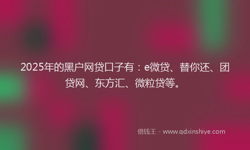 2025年的黑户网贷口子有：e微贷、替你还、团贷网、东方汇、微粒贷等。