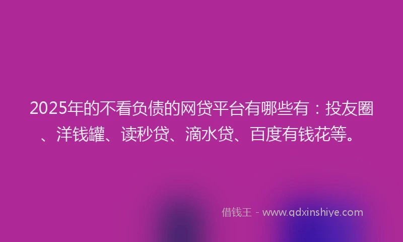 2025年的不看负债的网贷平台有哪些有：投友圈、洋钱罐、读秒贷、滴水贷、百度有钱花等。