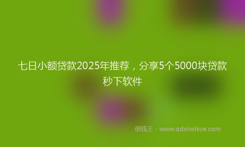 七日小额贷款2025年推荐，分享5个5000块贷款秒下软件