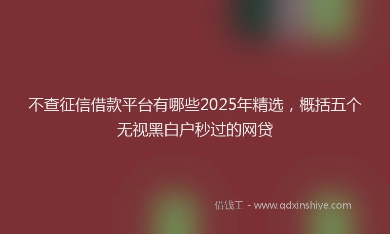 不查征信借款平台有哪些2025年精选，概括五个无视黑白户秒过的网贷