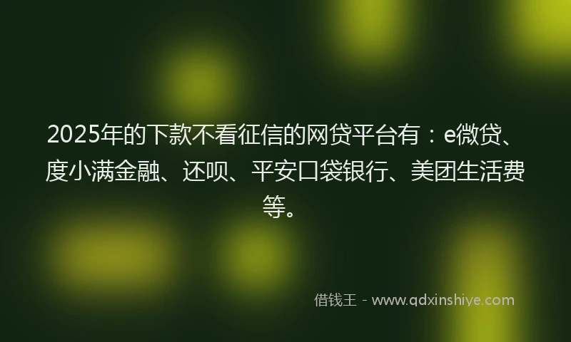 2025年的下款不看征信的网贷平台有：e微贷、度小满金融、还呗、平安口袋银行、美团生活费等。