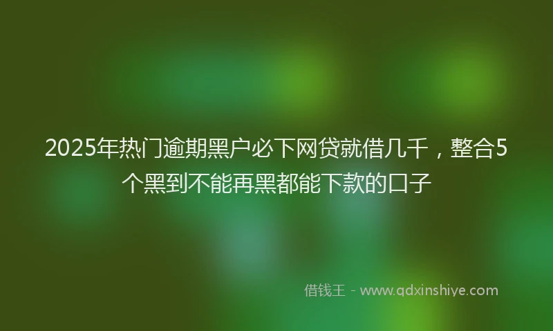 2025年热门逾期黑户必下网贷就借几千，整合5个黑到不能再黑都能下款的口子
