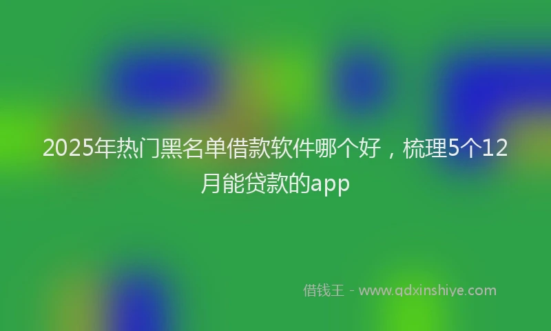 2025年热门黑名单借款软件哪个好，梳理5个12月能贷款的app