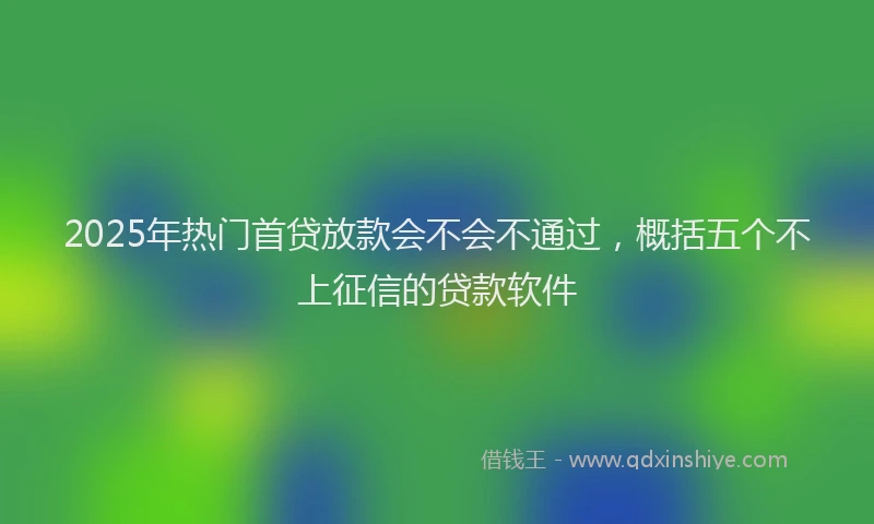 2025年热门首贷放款会不会不通过，概括五个不上征信的贷款软件