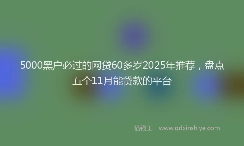 5000黑户必过的网贷60多岁2025年推荐，盘点五个11月能贷款的平台