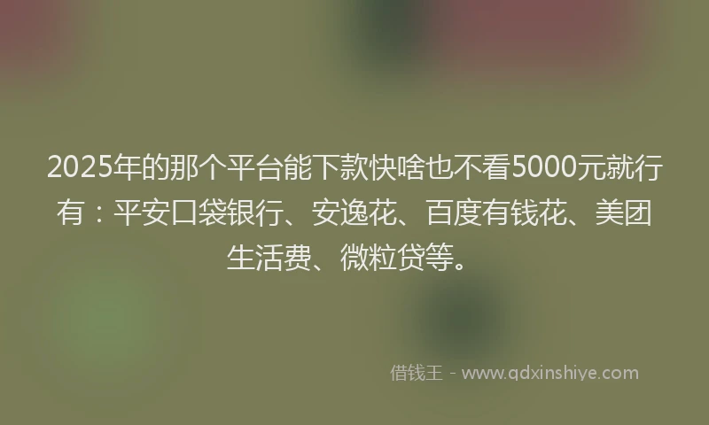 2025年的那个平台能下款快啥也不看5000元就行有：平安口袋银行、安逸花、百度有钱花、美团生活费、微粒贷等。