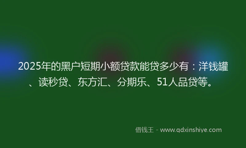 2025年的黑户短期小额贷款能贷多少有：洋钱罐、读秒贷、东方汇、分期乐、51人品贷等。
