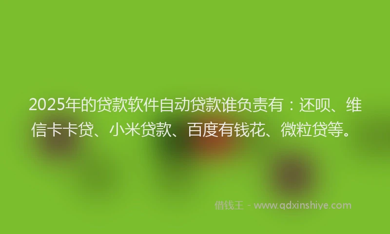 2025年的贷款软件自动贷款谁负责有：还呗、维信卡卡贷、小米贷款、百度有钱花、微粒贷等。