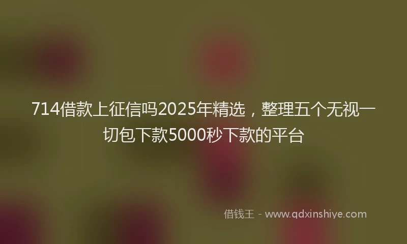 714借款上征信吗2025年精选，整理五个无视一切包下款5000秒下款的平台