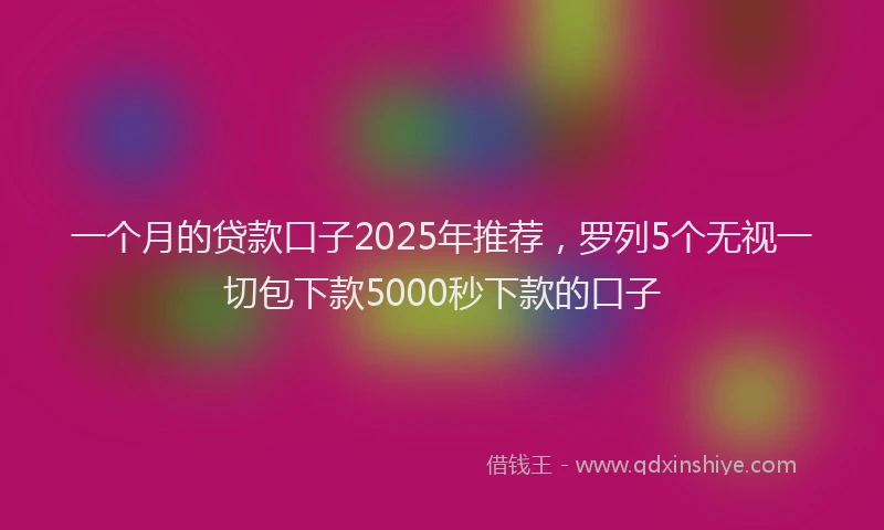 一个月的贷款口子2025年推荐，罗列5个无视一切包下款5000秒下款的口子