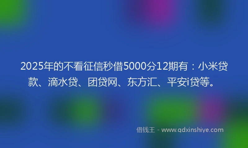 2025年的不看征信秒借5000分12期有：小米贷款、滴水贷、团贷网、东方汇、平安i贷等。