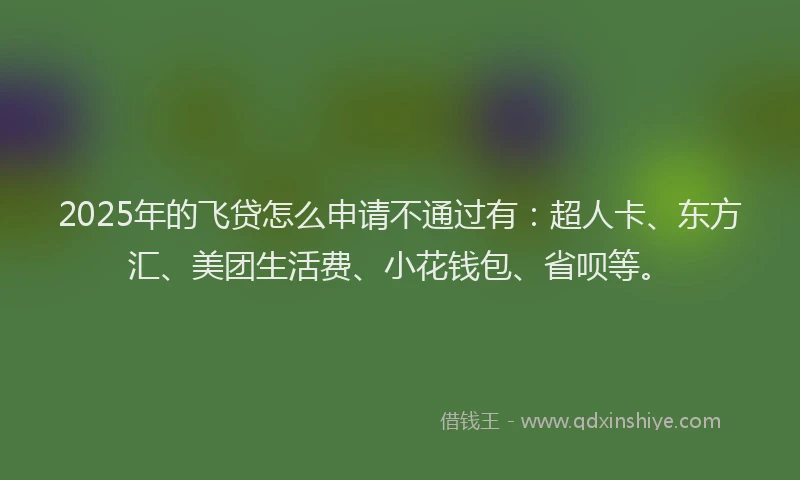 2025年的飞贷怎么申请不通过有：超人卡、东方汇、美团生活费、小花钱包、省呗等。