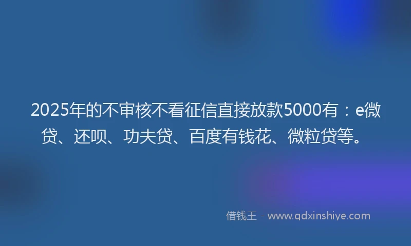2025年的不审核不看征信直接放款5000有：e微贷、还呗、功夫贷、百度有钱花、微粒贷等。