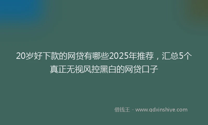 20岁好下款的网贷有哪些2025年推荐，汇总5个真正无视风控黑白的网贷口子