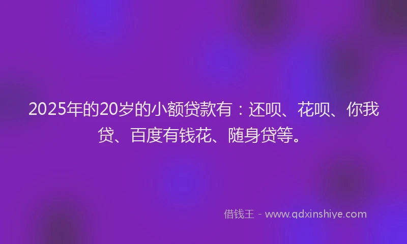 2025年的20岁的小额贷款有：还呗、花呗、你我贷、百度有钱花、随身贷等。