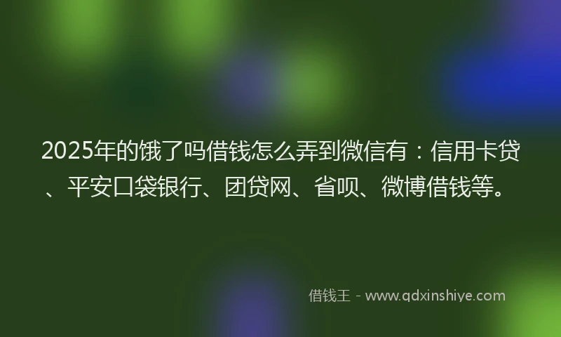 2025年的饿了吗借钱怎么弄到微信有：信用卡贷、平安口袋银行、团贷网、省呗、微博借钱等。