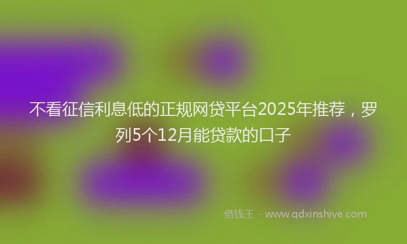 不看征信利息低的正规网贷平台2025年推荐，罗列5个12月能贷款的口子