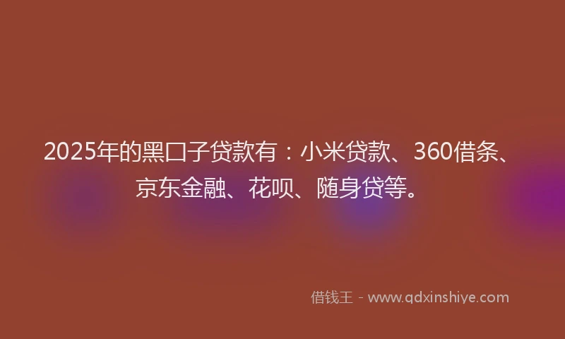 2025年的黑囗子贷款有：小米贷款、360借条、京东金融、花呗、随身贷等。