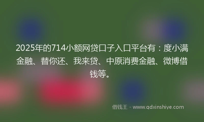 2025年的714小额网贷口子入口平台有：度小满金融、替你还、我来贷、中原消费金融、微博借钱等。