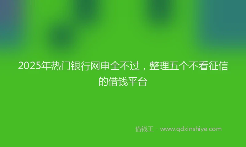 2025年热门银行网申全不过，整理五个不看征信的借钱平台