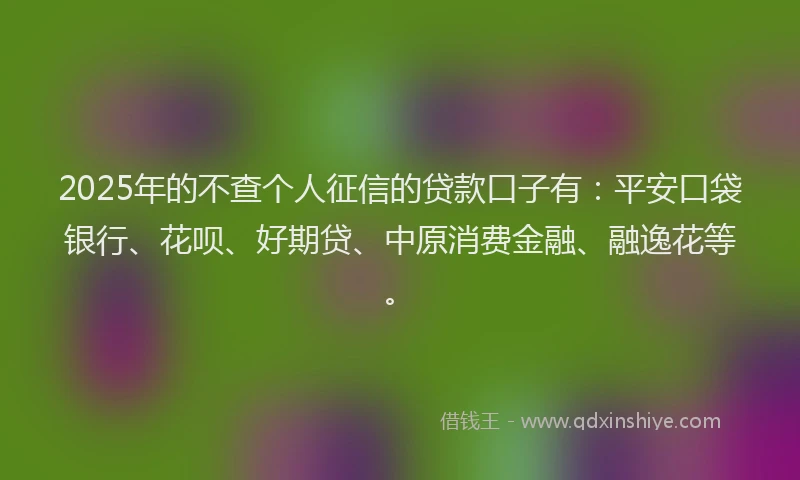 2025年的不查个人征信的贷款口子有：平安口袋银行、花呗、好期贷、中原消费金融、融逸花等。