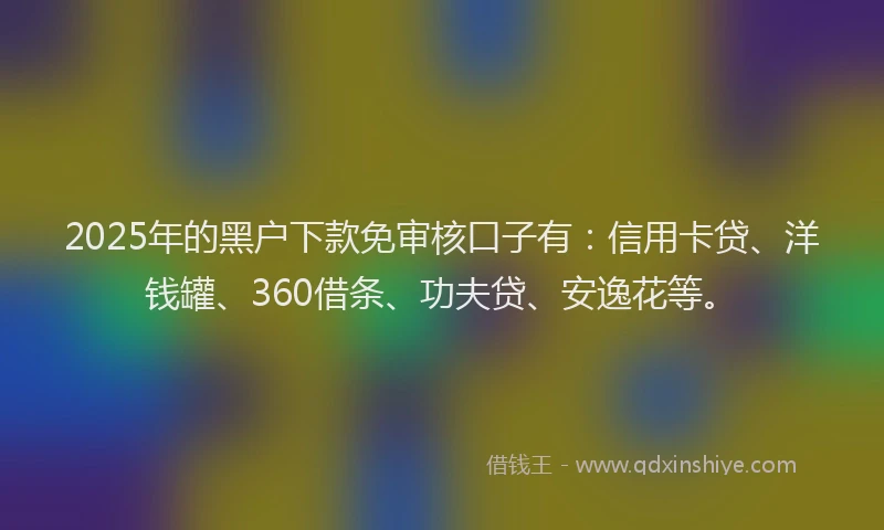 2025年的黑户下款免审核口子有：信用卡贷、洋钱罐、360借条、功夫贷、安逸花等。