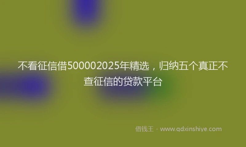 不看征信借500002025年精选，归纳五个真正不查征信的贷款平台