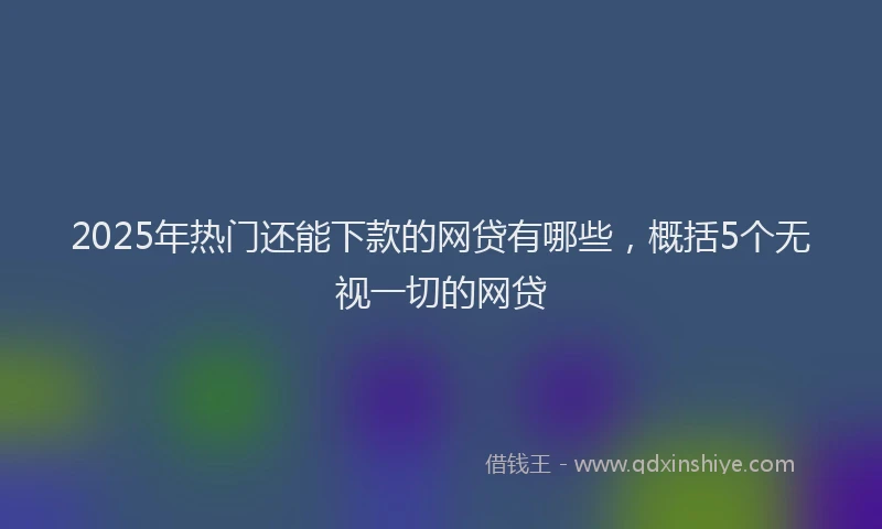 2025年热门还能下款的网贷有哪些，概括5个无视一切的网贷