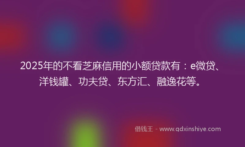 2025年的不看芝麻信用的小额贷款有：e微贷、洋钱罐、功夫贷、东方汇、融逸花等。
