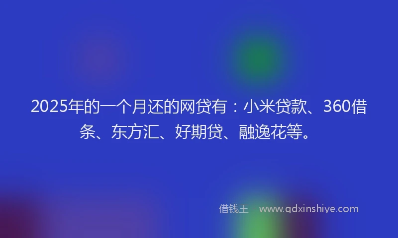 2025年的一个月还的网贷有：小米贷款、360借条、东方汇、好期贷、融逸花等。