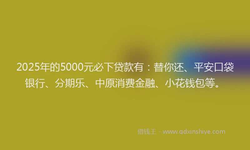 2025年的5000元必下贷款有：替你还、平安口袋银行、分期乐、中原消费金融、小花钱包等。